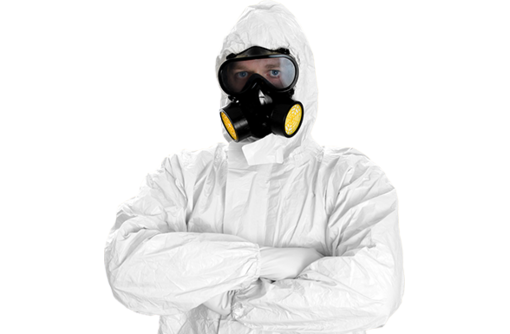 A Bed Bug Extermination Specialist ready to get the job done