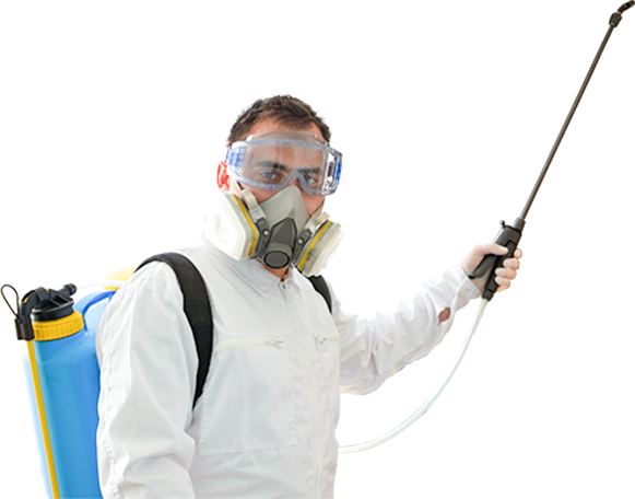 Pest Control Technician Equipped With Chemical Treatment Equipment