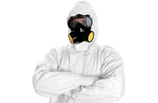 Bed bug treatment service coverage around London Ontario